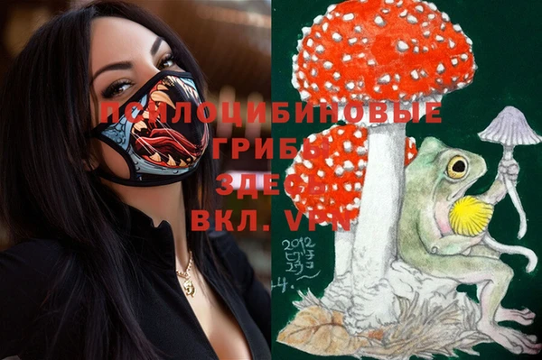 не бодяженный Каменногорск