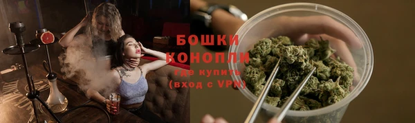 СК Каменск-Шахтинский