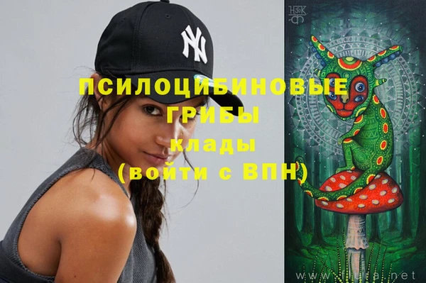 героин Каменка