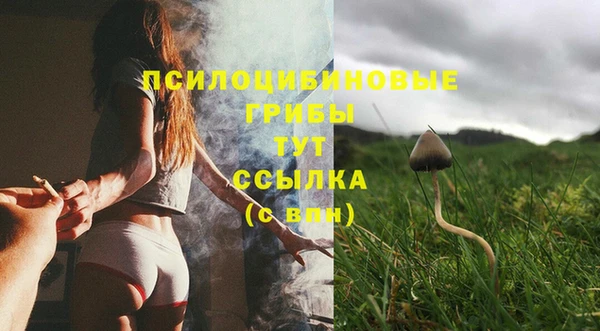 СК Каменск-Шахтинский