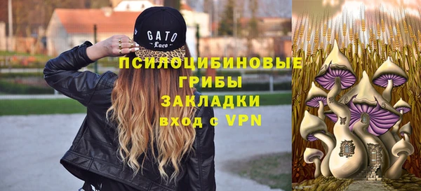 СК Каменск-Шахтинский