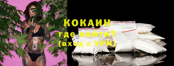 СК Каменск-Шахтинский