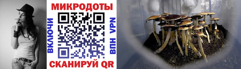 Купить где  Дивногорск  Псилоцибиновые грибы прущие грибы 